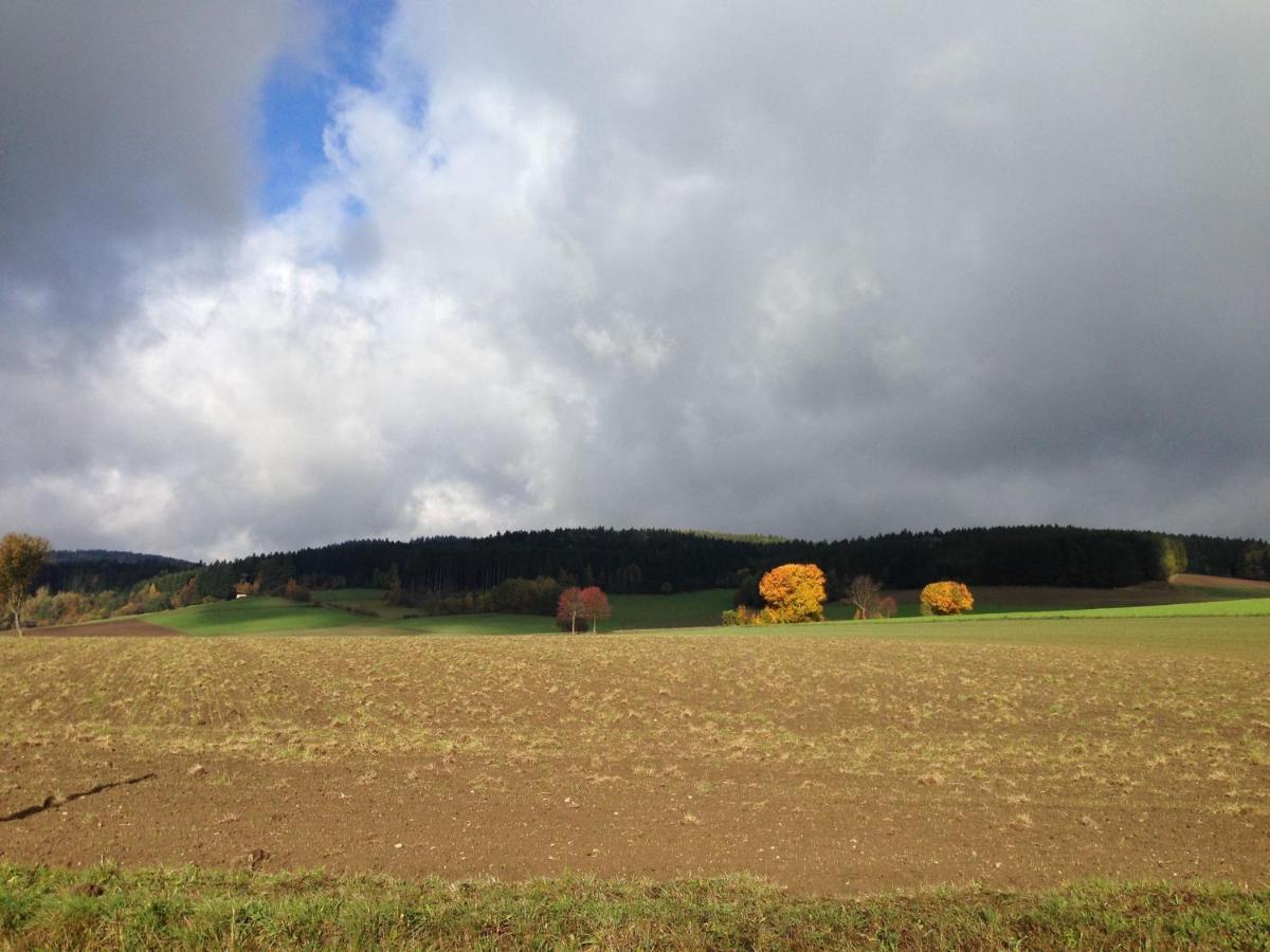 Cozy Pet Friendly Holiday Home In T Nnesberg Tännesberg エクステリア 写真